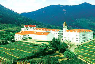 SAP釀酒行業ERP成功案例